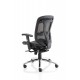 Mirage 2 Mesh Ergonomic Executive Chair